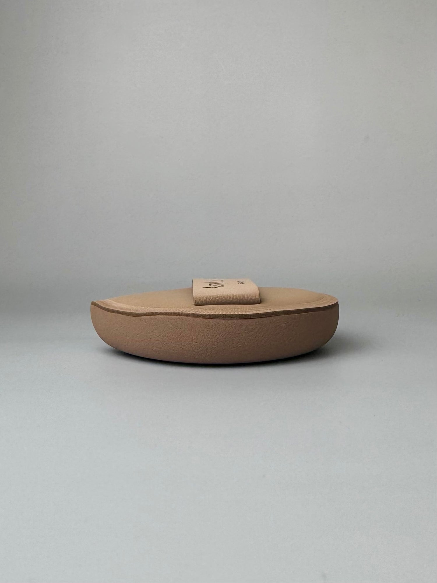 The Complexion Cushion